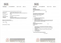 SGS
